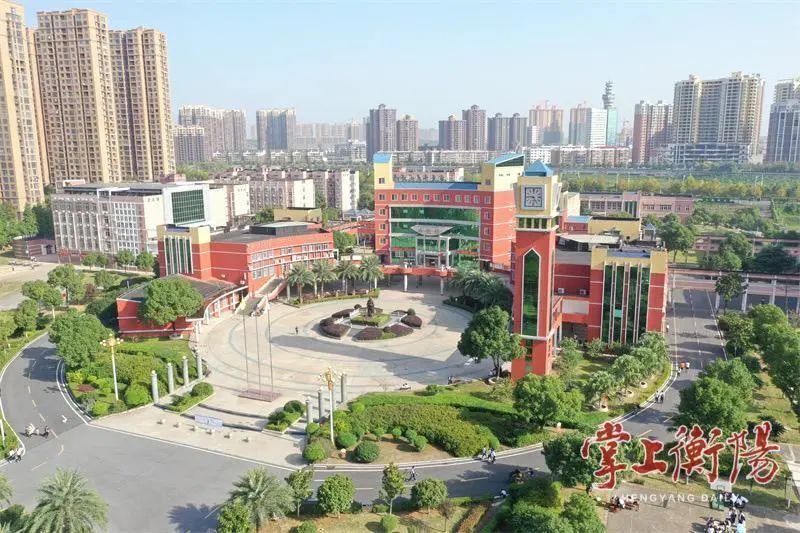 impor, 会指导, backg