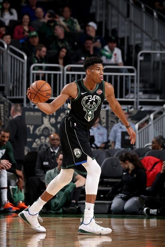 鹿队在休赛, 力量的实力